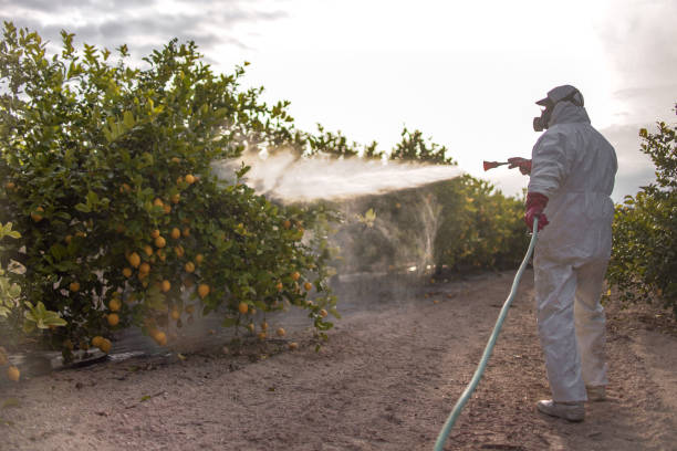 Best Exterminator Services  in Spout Springs, NC