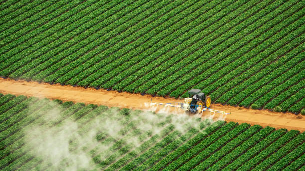 Best Best Pest Control Companies  in Spout Springs, NC