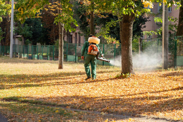 Best Mosquito Control Services  in Spout Springs, NC