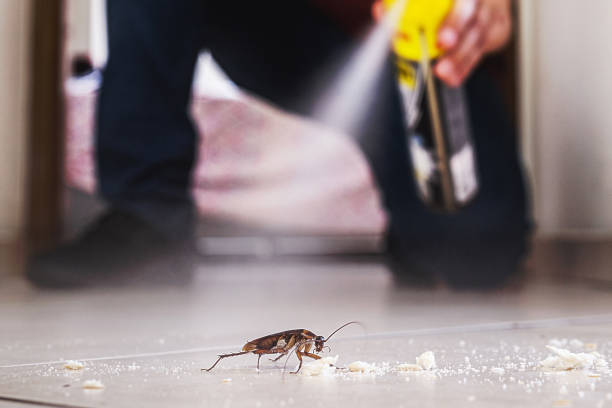 Professional Pest Control in Spout Springs, NC