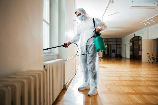Best Affordable Pest Control Services  in Spout Springs, NC
